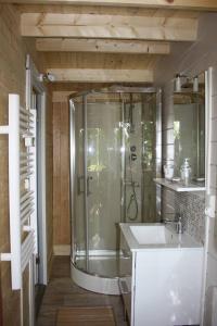 a bathroom with a shower and a sink at Chambres d'hôtes la landrière in Mauléon