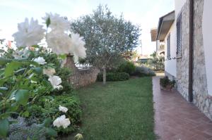 Um jardim no exterior de I Leoncini