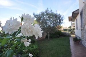 Um jardim no exterior de I Leoncini