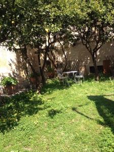 un giardino con alberi e una panchina nell'erba di Il Giardino a Grottaglie
