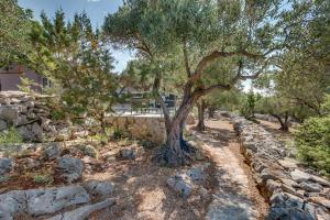 Φωτογραφία από το άλμπουμ του Holiday home Nikol σε Veli Lošinj +24 φωτογραφίες