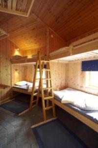 a room with two bunk beds and a ladder at STF Växhuset Hostel in Bodarne