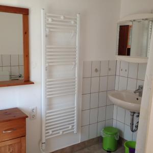 La salle de bains est pourvue d'un lavabo et d'une porte de douche. dans l'établissement Bungalow Ostseeblick, à Poel