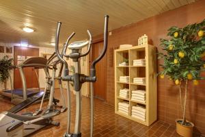 Fitness centrum a/nebo fitness zařízení v ubytování Trip Inn Hotel Blankenburg