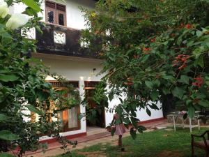 Zahrada ubytování Nimal`s Homestay