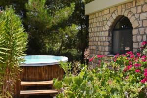 Giardino di Zimmers at the Forest