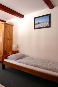 Katil atau katil-katil dalam bilik di Jeleni chata Skladanka