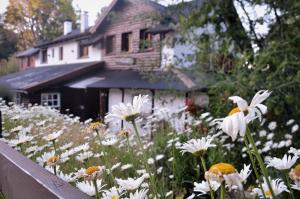 Un jardín fuera de Hosteria Las Cartas