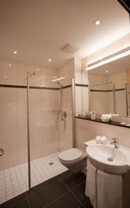 a bathroom with a shower and a toilet and a sink at Weingut & Gästehaus Schmitz-Bergweiler in Bernkastel-Kues