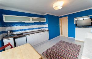 Kuchyň nebo kuchyňský kout v ubytování Villa Cihelna apartments