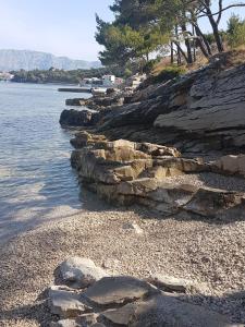 Príroda v okolí apartmánu