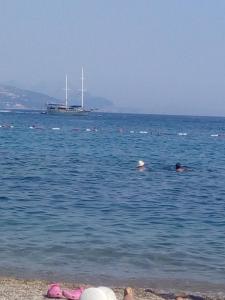 a group of people swimming in the ocean with a boat at Apartmani Jazz Aleksandra in Budva