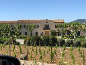 a house with a vineyard in front of it at Maison du Lac in Grimaud