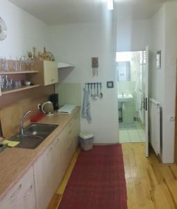 eine Küche mit einer Spüle und einer Arbeitsplatte in der Unterkunft Chata Lucia in Stará Lesná