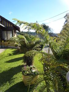 un jardín con plantas y flores en un patio en Pousada Casa Amarela, en Canela