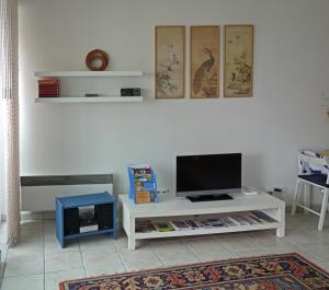 TV a/nebo společenská místnost v ubytování Apartmán Tilia