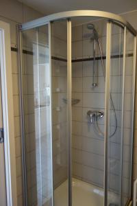 a shower with a glass door in a bathroom at Apartmán Tilia in Pavlov