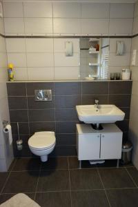 a bathroom with a toilet and a sink at Apartmán Tilia in Pavlov