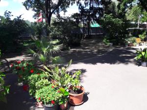 A garden outside Orchidea Apartman Eger