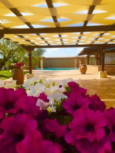 a bunch of pink and white flowers on a table at La Piana Dell'erika in Aprilia +13 photos