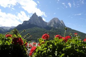 a field of flowers with mountains in the background at Residence Kampidell in Siusi