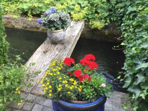 Jardín al aire libre en Ferienhaus am Mörnbach