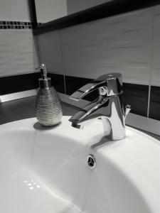 a bathroom sink with a soap dispenser on it at DownTown DeLuxe Apartment in Eger