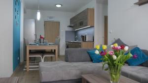 Kuchyňa alebo kuchynka v ubytovaní Všemina Apartman