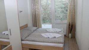 ein Schlafzimmer mit einem Bett mit zwei Kissen darauf in der Unterkunft Všemina Apartman in Lužkovice