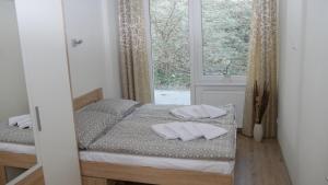 sypialnia z łóżkiem z 2 poduszkami w obiekcie Všemina Apartman w mieście Lužkovice