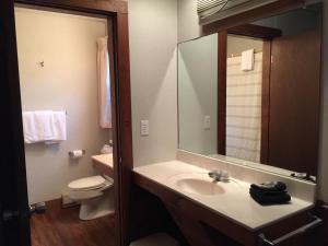 a bathroom with a sink and a toilet and a mirror at The Holiday House Inn & Motel in Scarborough