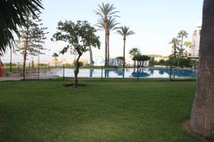 a park filled with palm trees and palm trees at Apartamentos Castillo de Santa Clara in Torremolinos