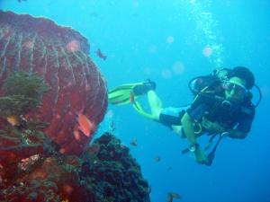 a person with a camera swimming in the ocean at Bali Umah Tinjung in Tulamben