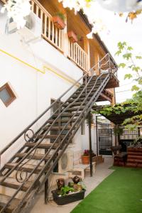 コンスタンツァにあるCasa Falezaの緑の芝生の家の階段