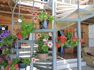um ramo de flores em vasos numa escada em Guesthouse U Moti em Novy Afon