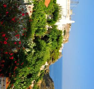 an aerial view of flowers and trees on a cliff at Margarita Hotel in Kythira