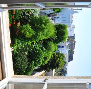 a view from the window of a building with trees at Margarita Hotel in Kythira