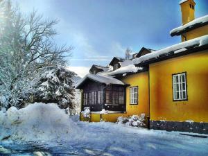 Ferienhaus Krieglach v zimě