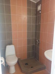 a bathroom with a toilet and a sink at Hotel Vivat in Velikodolinskoye +20 photos