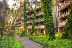 a building covered in ivy with a path in front at Martı Myra - Ultra All Inclusive in Tekirova
