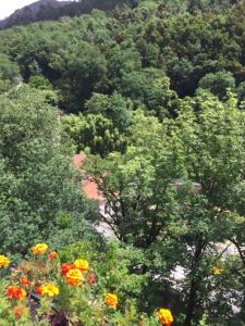 a bunch of trees and flowers in front of a mountain at Casa da Avó in Geres