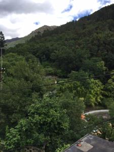een uitzicht op een berg met bomen en een weg bij Casa da Avó in Geres