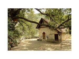 a small stone building with a bench under a tree at Casale Panayiotis in Kalopanayiotis