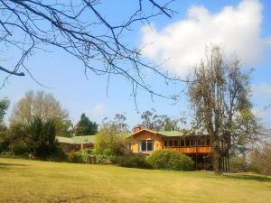 Imagen de la galería de Sycamore Avenue Treehouses & Cottages Accommodation, en Windy