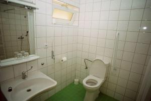 un bagno bianco con un water e un lavandino di Motel Dacice a Dačice Altre 13 foto