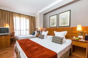 a hotel room with a bed and a television at Leonardo Hotel Granada in Granada