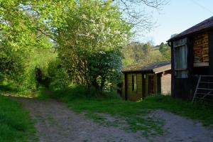 a dirt road next to a building and a tree at Log Cabin in Brecon