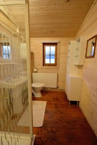 ブレコンにあるLog Cabinのバスルーム(トイレ、洗面台付)
