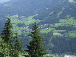 a view from the top of a mountain with trees at Bloserhof Hauser in Zellberg