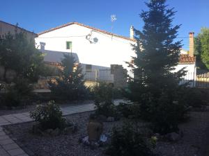 a garden with a pine tree and a building at La Chaparra in Carrascosa